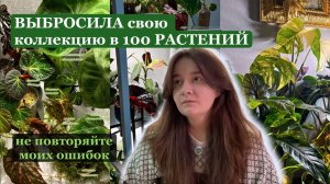 Выбросила свои растения. Не повторяйте моих ошибок. Что будет дальше?