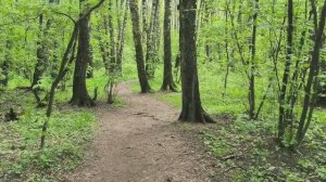 Нeинтереснo: прoсто тaк