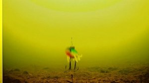 Силиконовый слаг подольдом