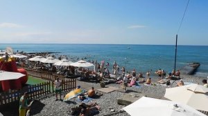 ВИДЕО  ПВН  ББ   (1569)