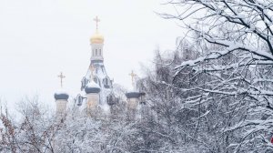 Поздняя Божественная Литургия. Неделя 29-я по Пятидесятнице, святых праотец