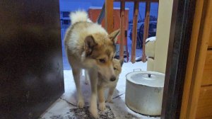 Захотели кушать