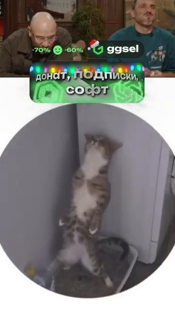 Барсика вшырило))))) смотреть онлайн