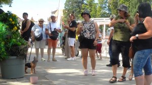 РОЗЫГРЫШ БУШМЕНА (СПЕЦИАЛЬНЫЙ РОЖДЕСТВЕНСКИЙ ВЫПУСК 2025 ГОДА) ТАКОЙ ЗАБАВНЫЙ