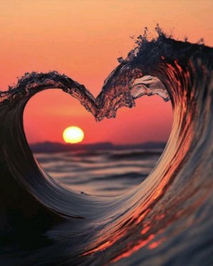 приветик 🌸