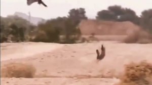 Зайчику тоже жить хочется..... ✨💫🌟🕵️