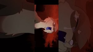 Коты воители уголек мап