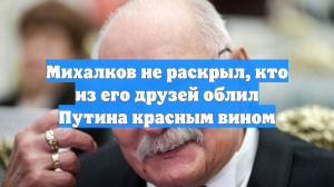 Никита Михалков решил оставить в секрете, кто из его друзей облил вином Путина