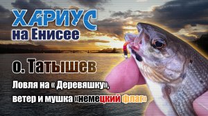 Хариус на Енисее. Остров Татышев. Ловля на "Деревяшку", ветер и мушка "немецкий флаг".