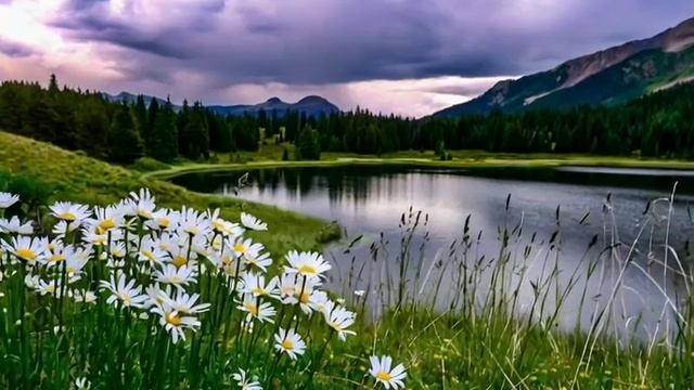 Медитация. Будь собой смотреть онлайн