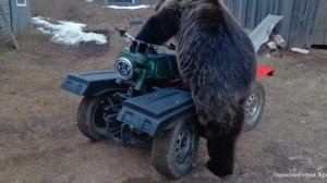 угон квадроцикла