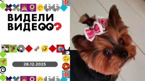 Видели видео? Выпуск от 28.12.2025