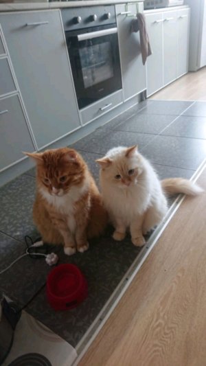 Разговор часть 2