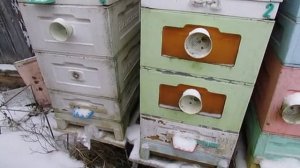 работа на пасеке в декабре, про летки в магазинах , нужны или нет , 25.12.2025