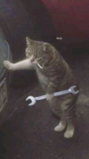 мой ко Бусыгин