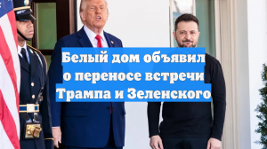 Встреча Трампа и Зеленского пройдет в 21.00 мск воскресенья