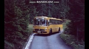 Лето провело. Ещё чуть-чуть и вновь приедет