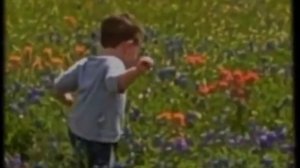 мистер бист