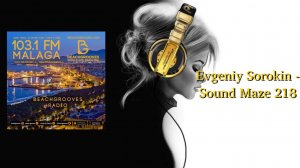 Evgeniy Sorokin - Sound Maze 218