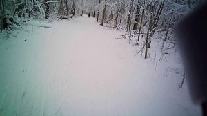 Ромашково. 28/12/2025. Развилка 10-15-17