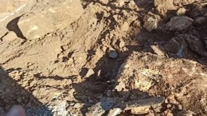 6,7 декабря 2025г.Заболела.Обновка)