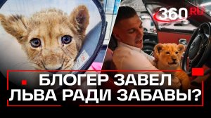 Блогер-миллионник Дмитрий Котов жестоко обращался со львом?