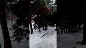 С новым годом 2026-ым!