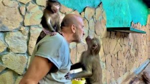 Анфисе уже НЕ НУЖНА Люся, она хочет самостоятельно бегать по вольеру,а Люся аж трясется за малышкой!