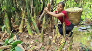 Собираю бамбук, обрабатываю его и везу на рынок для продажи. Дуонг