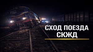 Сход поезда в Ростовской области: задержки движения на СКЖД
