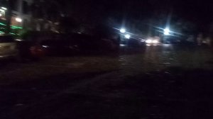 Ночная Савана