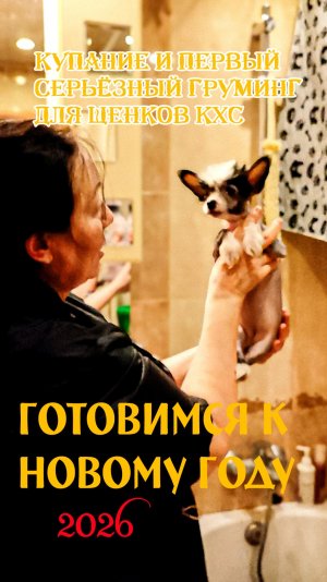 Купание и первый серьёзный груминг для щенков КХС
