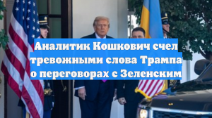 Аналитик Кошкович счел тревожными слова Трампа о переговорах с Зеленским