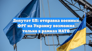 Депутат ЕП: отправка военных ФРГ на Украину возможна только в рамках НАТО