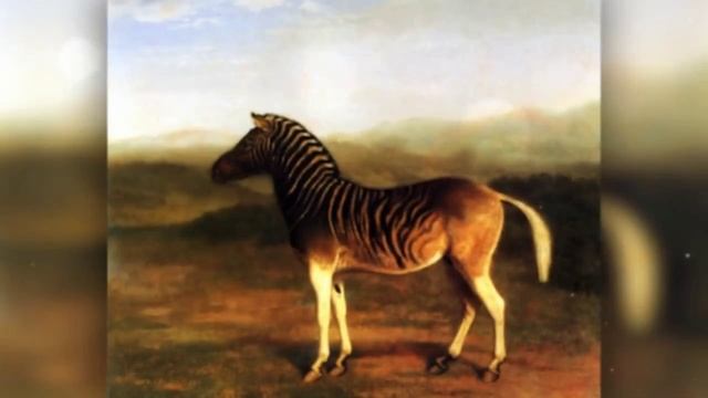 15 Красивых ЖИВОТНЫХ вымерших из-за человека смотреть онлайн