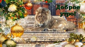 Доброе утро!