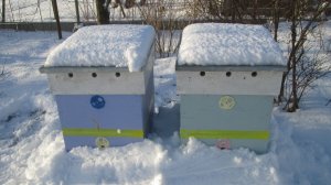 Как утеплить улей на зиму