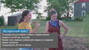 Огород на 6 сотках кормит семью из 6 человек.