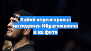 Хабиб отреагировал на подпись Ибрагимовича к их фото