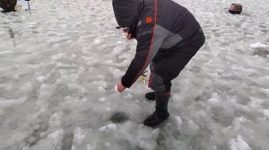 Основной водоём