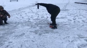 поимка форели на блесну