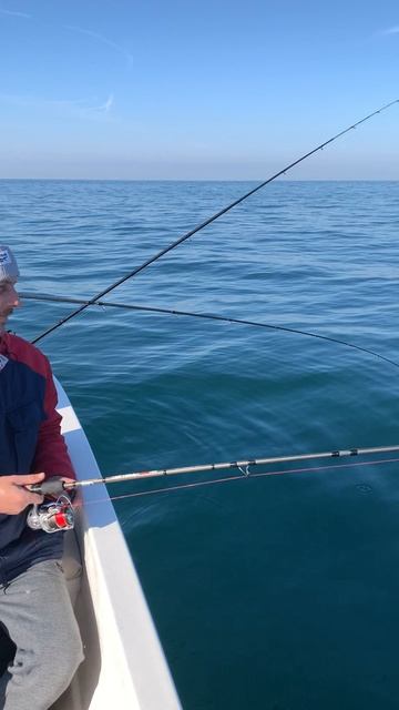 Ловим ставриду в Адлере. смотреть онлайн