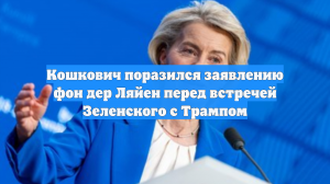 Запад удивило заявление фон дер Ляйен перед переговорами Зеленского и Трампа