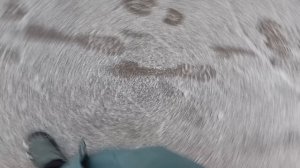 2 калаб с моим другом Димой Аля Джек си-18.