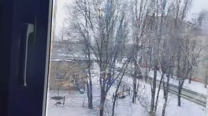 Упражнение для пресса/Пёс пришёл с прогулки.Катаем сушку/Обзор зажигалок/Завтрак/Орхидея зацвела////