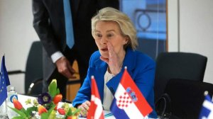 Кошкович поразился заявлению фон дер Ляйен перед встречей Зеленского с Трампом