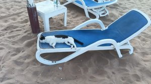 Пляжный отдых в Арабских Эмиратах