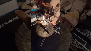 РИТУАЛ-ЧИСТКА ОТ ПОДСЕЛЕНЦЕВ БЕСОВ СУЩНОСТЕЙ И ЛЯРВ.