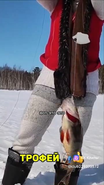 Ждали щуку, а попался вот такой красавец. 👍 смотреть онлайн