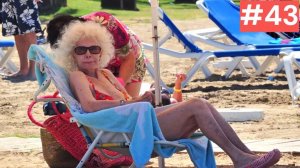 Приколы с котами! С ОЗВУЧКОЙ! СМЕШНЫЕ КОТЫ! Самые смешные животные! ДО СЛЕЗ!